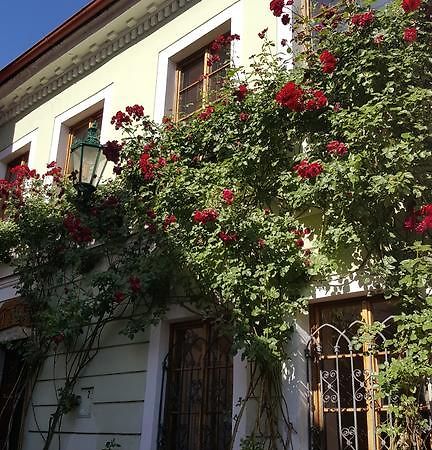 House Of Roses Apartment Kutna Hora Bagian luar foto