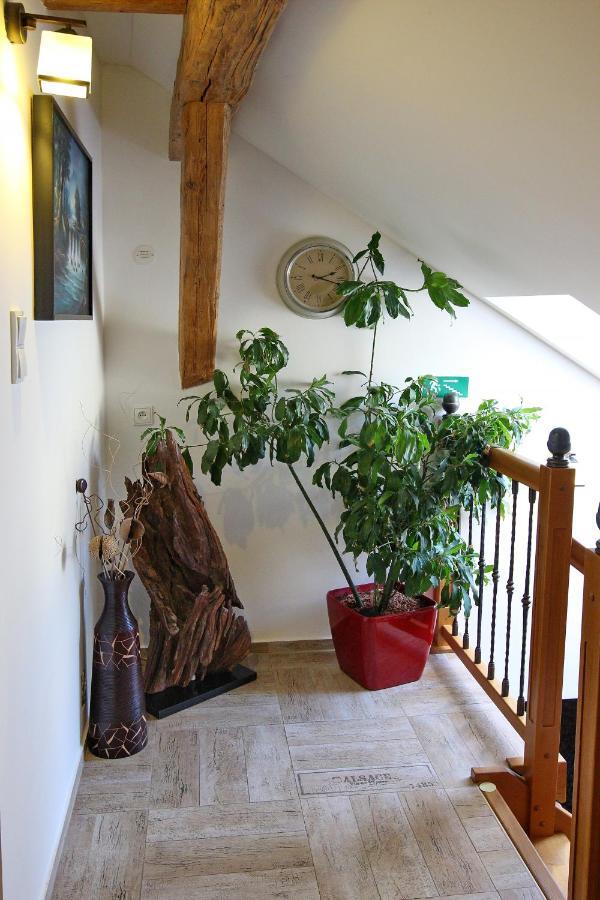 House Of Roses Apartment Kutna Hora Bagian luar foto